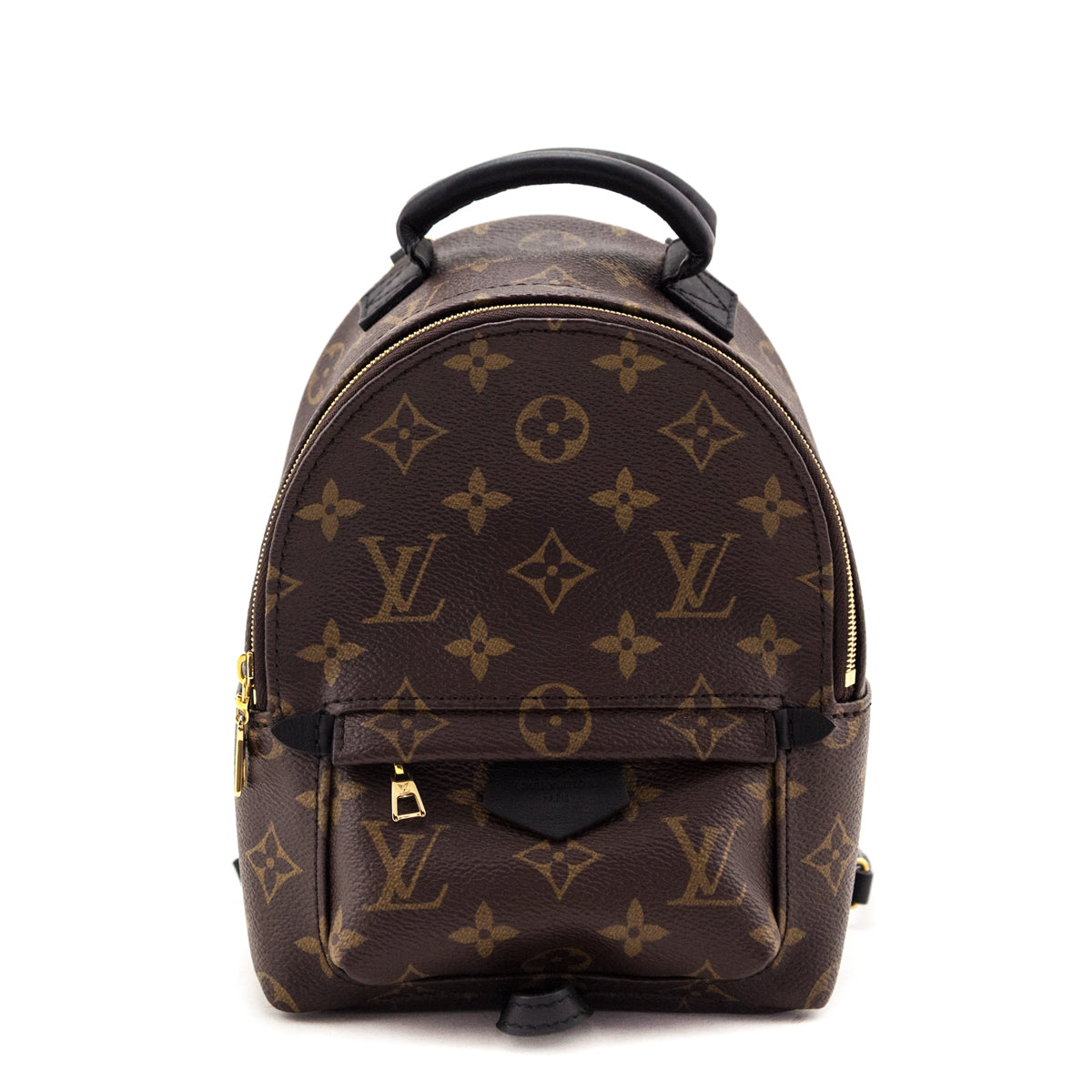 Louis Vuitton Monogram Palm Springs Mini Backpack