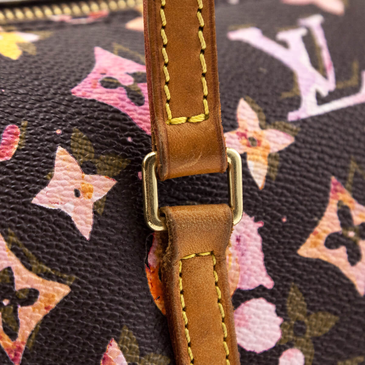 Louis Vuitton Monogram Watercolor Aquarelle Papillon Bag - Love that Bag etc - Preowned Authentic Designer Handbags & Preloved Fashions