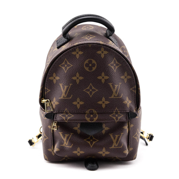 Louis Vuitton Monogram Palm Springs Mini Backpack - LV