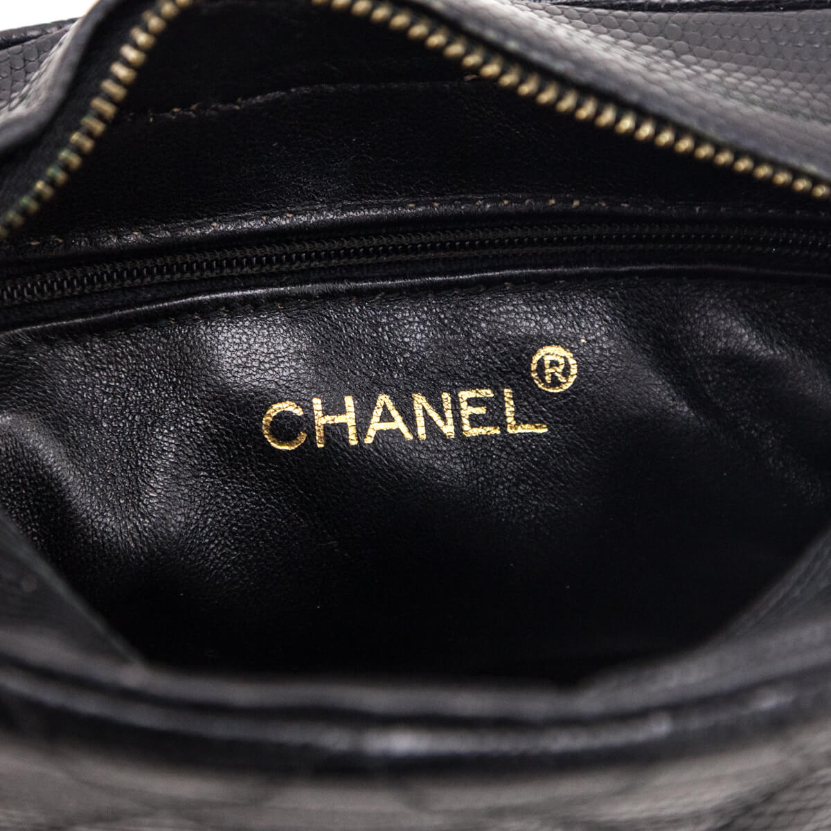 Chanel Black Lizard CC Camera Bag