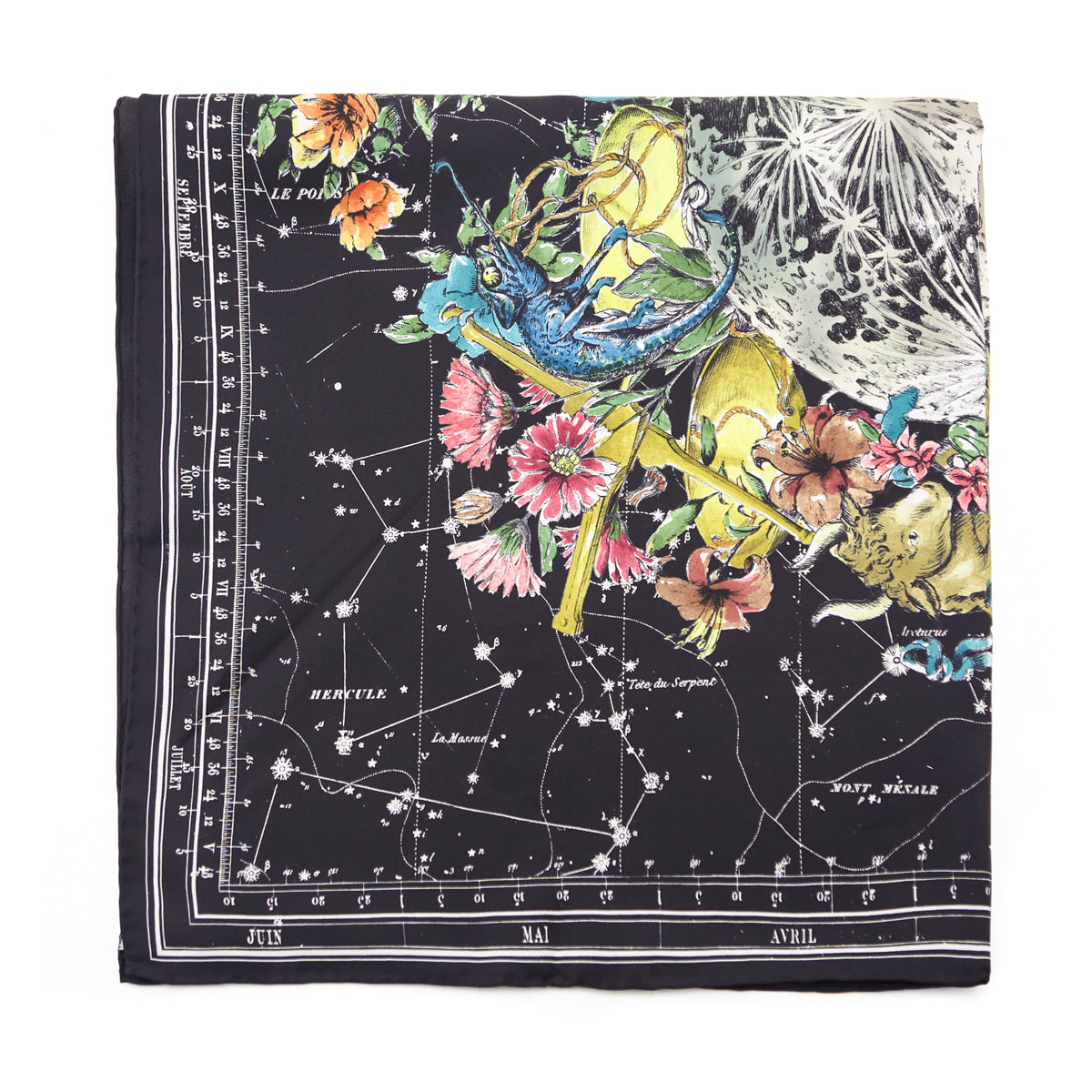 Dior Black Silk Zodiac Scarf 90