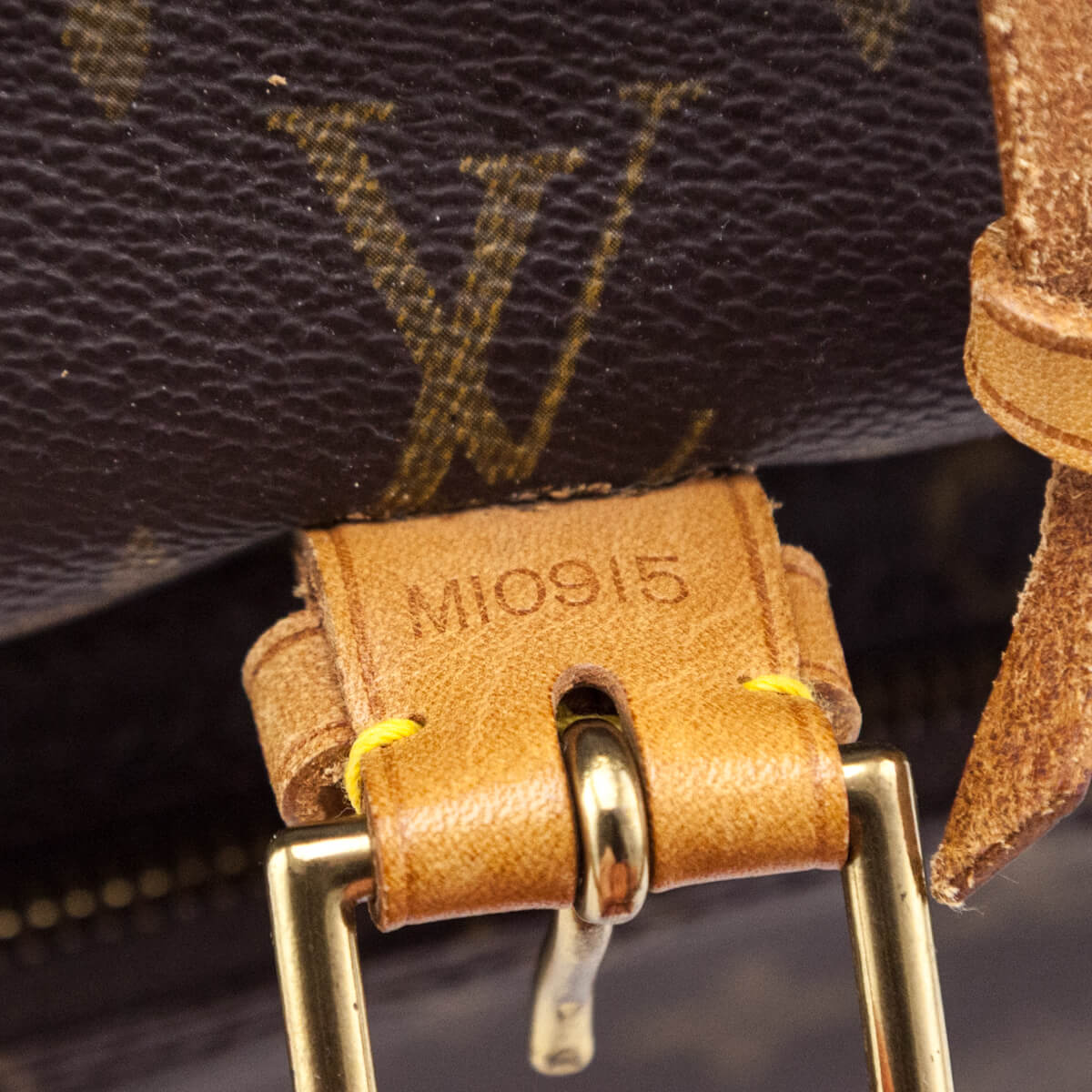 Louis Vuitton Monogram Montsouris GM Backpack