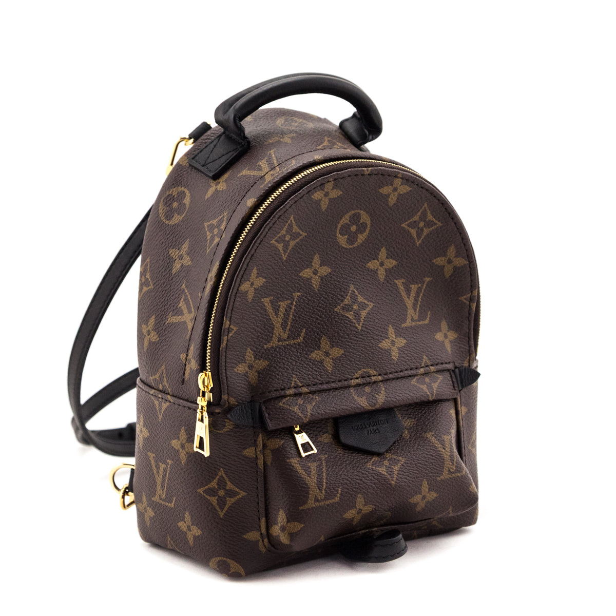 Louis Vuitton Monogram Palm Springs Mini Backpack
