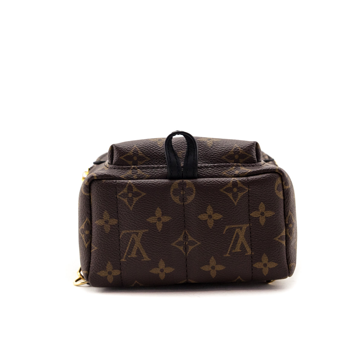 Louis Vuitton Monogram Palm Springs Mini Backpack