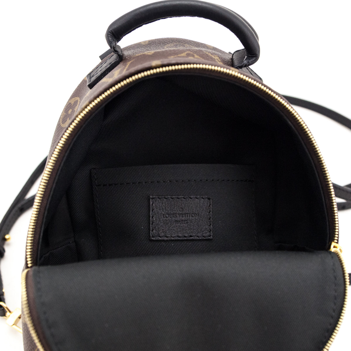 Louis Vuitton Monogram Palm Springs Mini Backpack