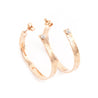 Louis Vuitton Nanogram Hoop Earrings - Love that Bag etc - Preowned Authentic Designer Handbags & Preloved Fashions