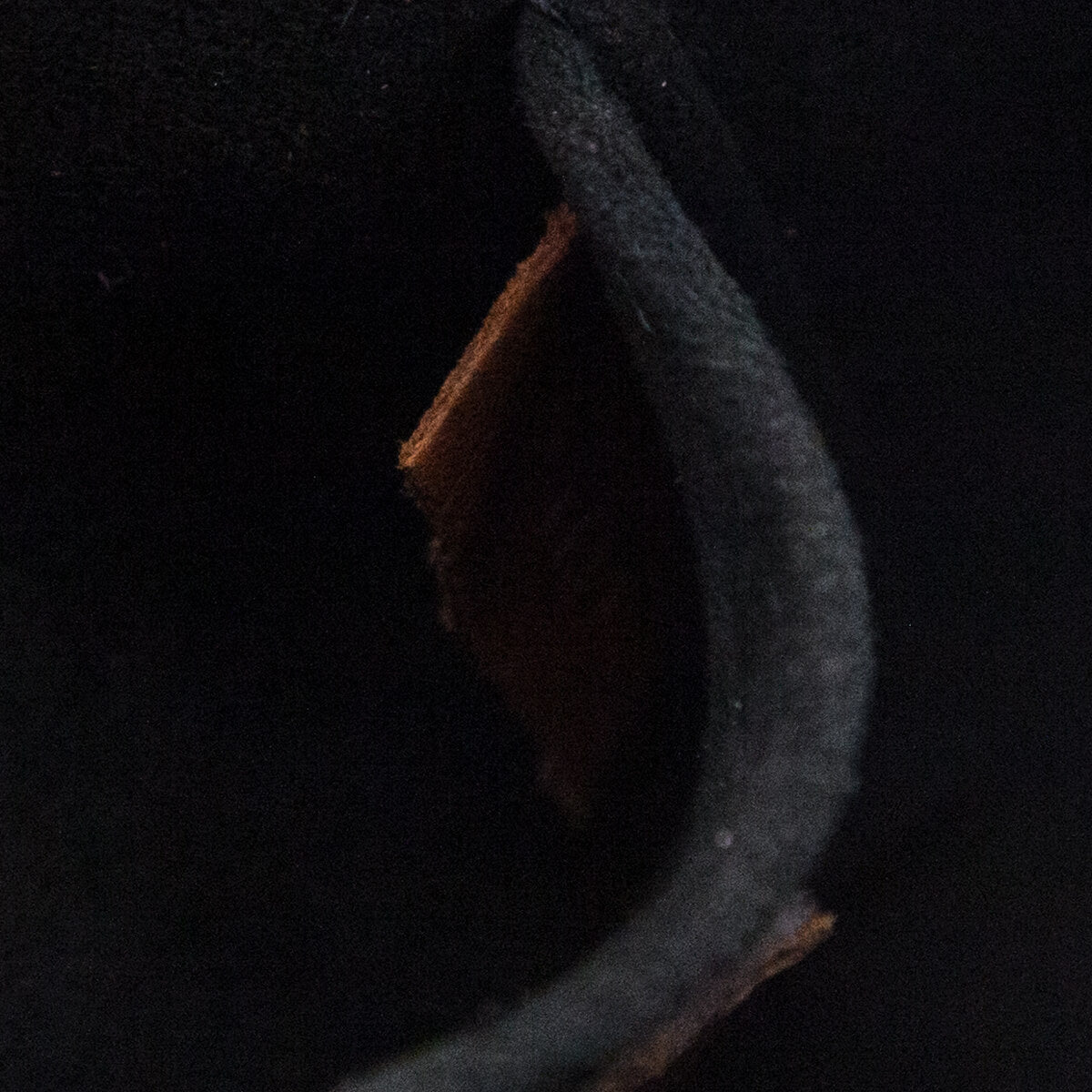 Louis Vuitton Reverse Monogram Dauphine Mini Bag