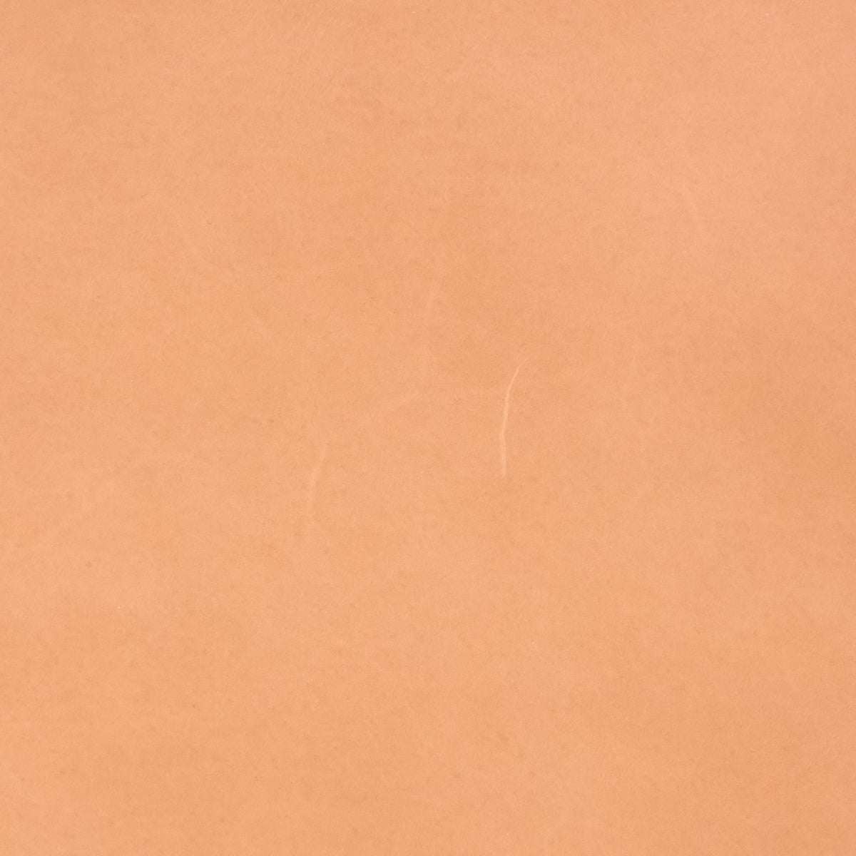 Mansur Gavriel Tan & Black Alexander Calder Large Tote