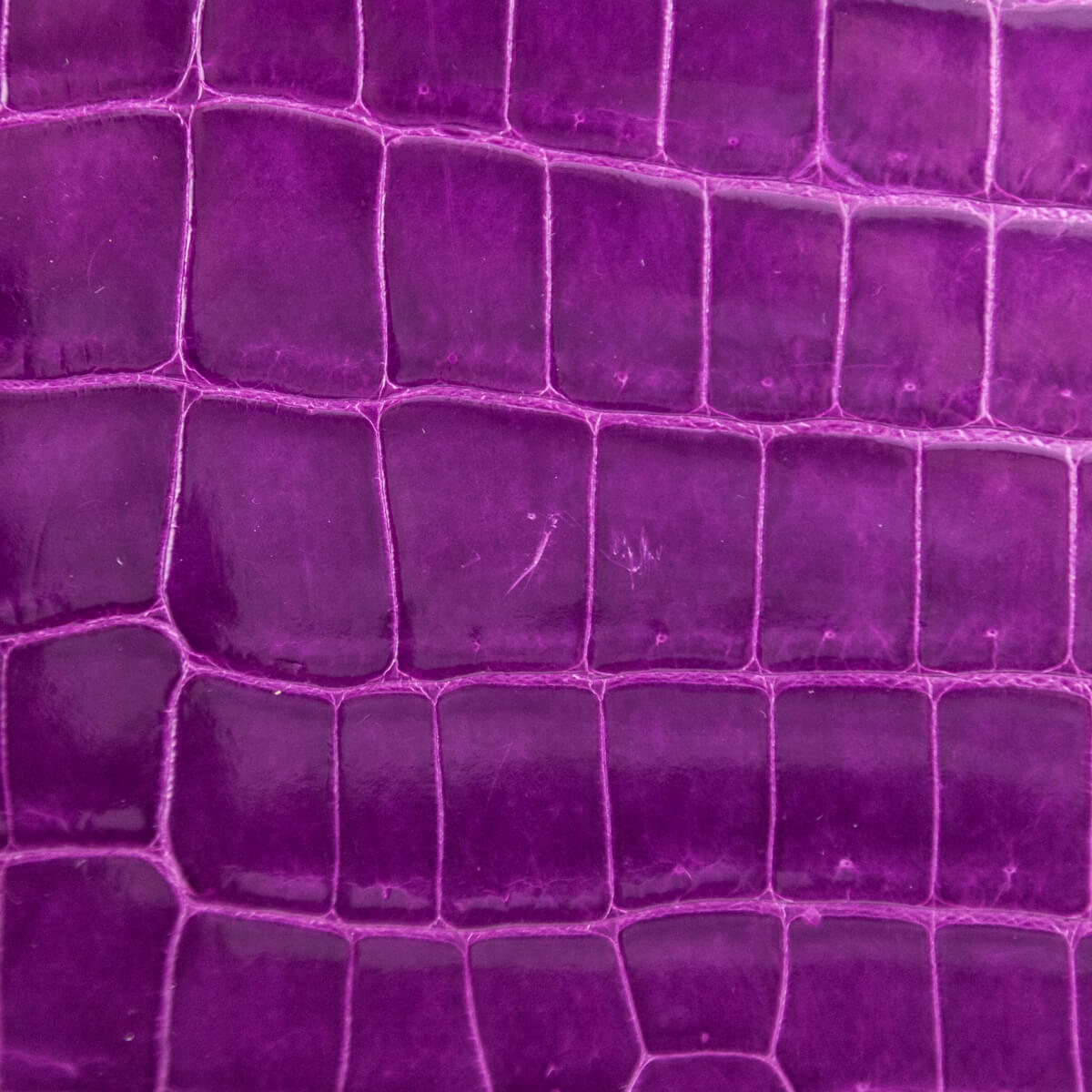 purple croc birkin bag｜TikTok Search