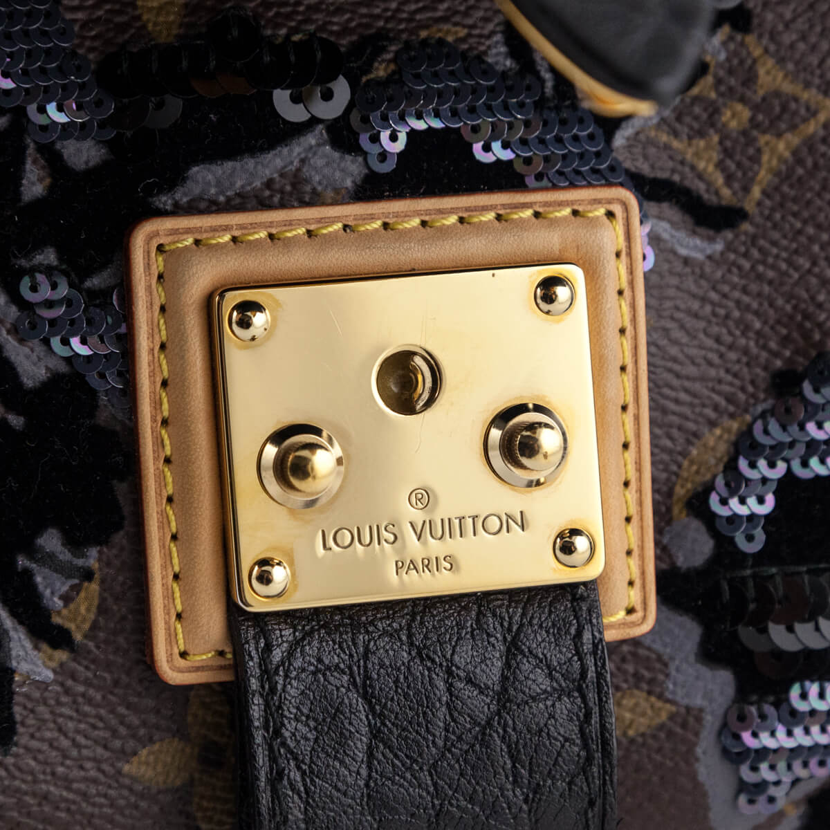 Louis Vuitton Monogram Fleur de Jais Carrousel M40434 Brown Cloth  ref.924977 - Joli Closet